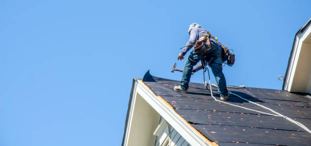 Best Roof Gutter Cleaning  in Midland City, AL